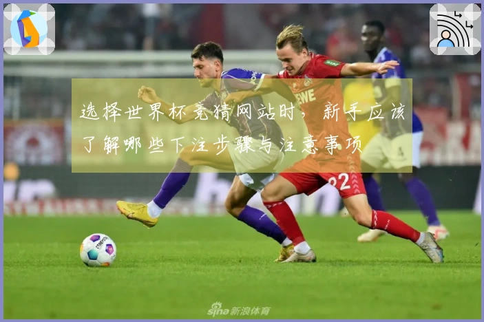 选择世界杯竞猜网站时，新手应该了解哪些下注步骤与注意事项
