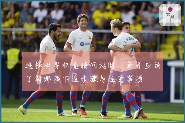 选择世界杯竞猜网站时，新手应该了解哪些下注步骤与注意事项