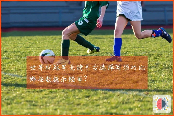 世界杯冠军竞猜平台选择时须对比哪些数据和赔率？