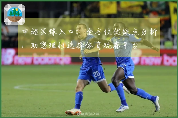 中超买球入口：全方位优缺点分析，助您理性选择体育观赛平台