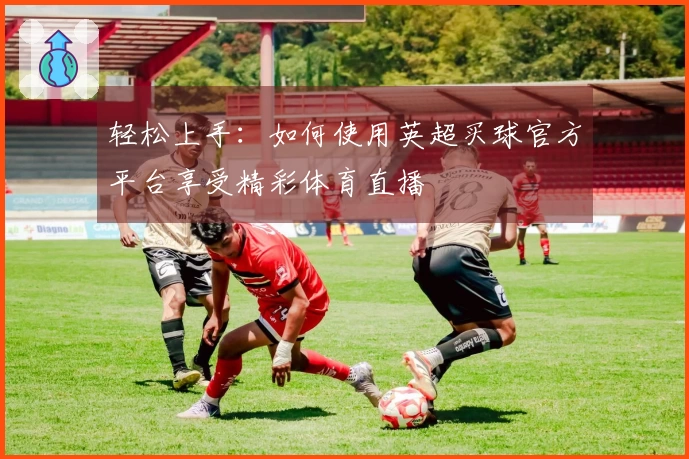 轻松上手：如何使用英超买球官方平台享受精彩体育直播