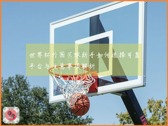 世界杯外围买球新手如何选择可靠平台与注意事项解析