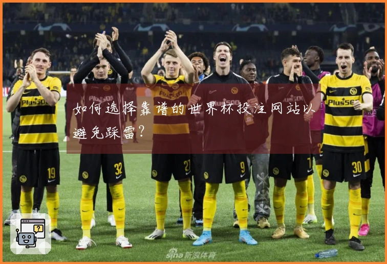如何选择靠谱的世界杯投注网站以避免踩雷？