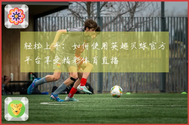 轻松上手：如何使用英超买球官方平台享受精彩体育直播