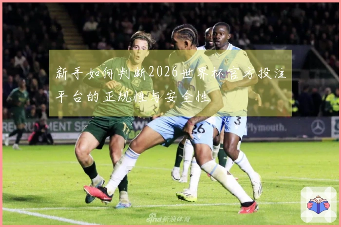 新手如何判断2026世界杯官方投注平台的正规性与安全性